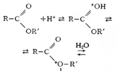 Реакция гидролиза пропилового эфира уксусной кислоты